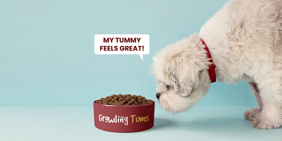 Royal Canin Gastrointestinal - лечебна храна при храносмилателни разстройства