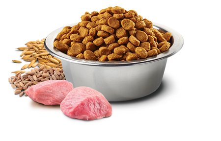 N&D TROPICAL DOG AD MED & MAXI PORK