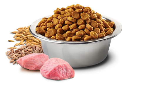 N&D TROPICAL DOG AD MED & MAXI PORK