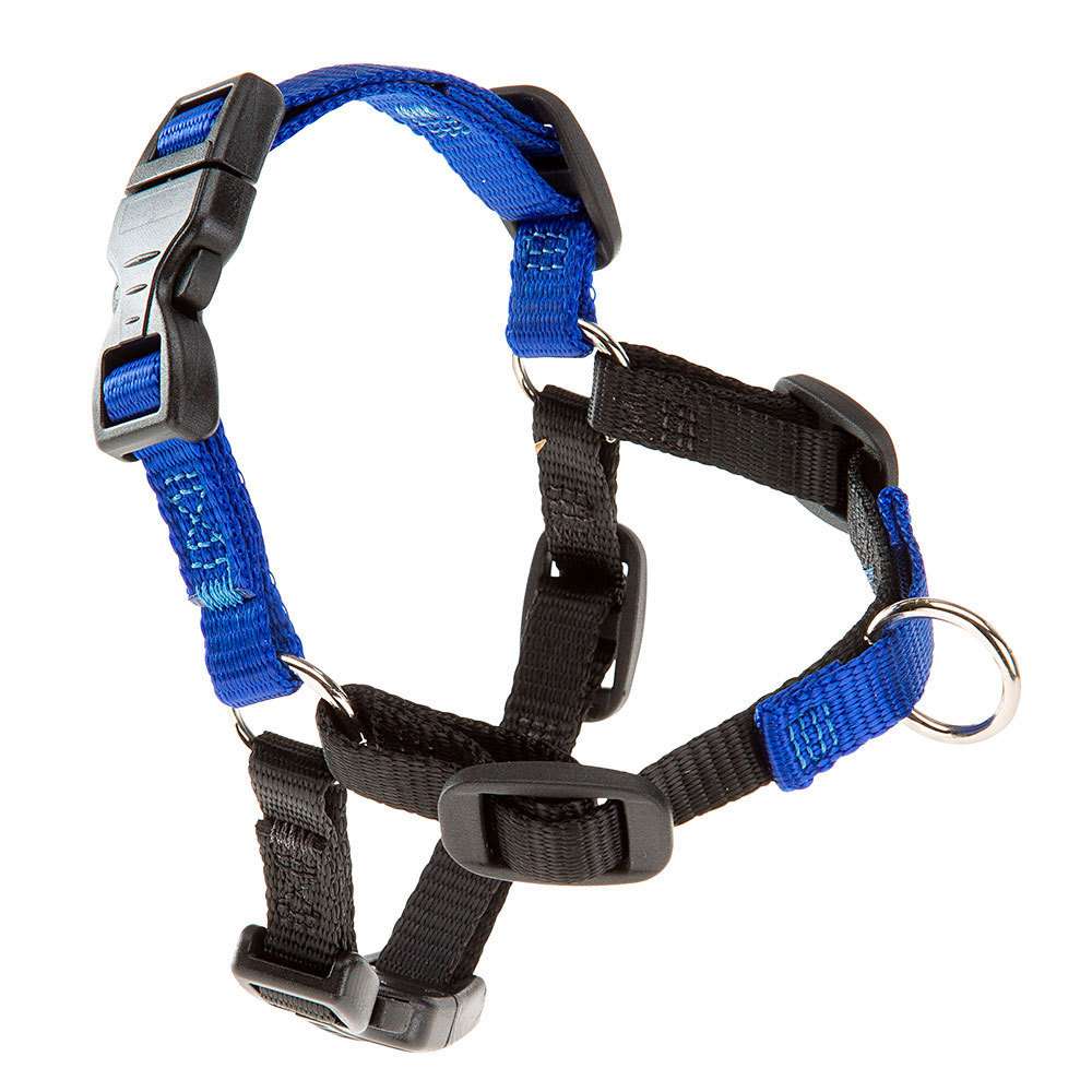 FERPLAST COACH P HARNESS