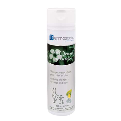 Dermoscent PYO clean Shampoo - лечебен шампоан за намаляване на повтарящи се кожни инфекции, за кучета и котки - 200 мл