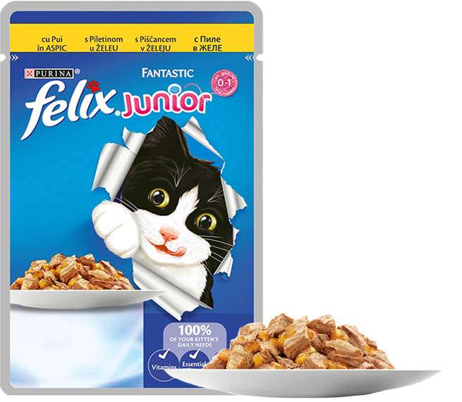 FELIX FANTASTIC JUNIOR ПАУЧ ГРИЛ В ЖЕЛЕ ПИЛЕ - ЗА ПОДРАСТВАЩИ КОТЕНЦА 26x85 гр