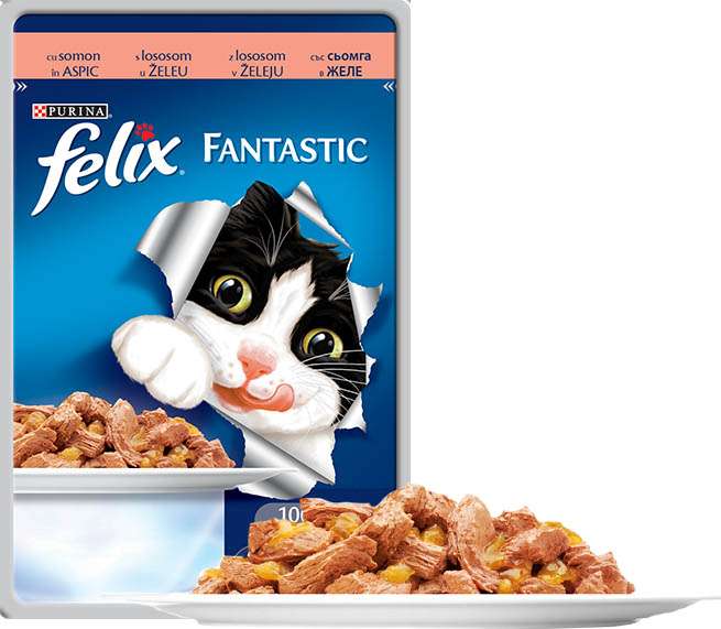 FELIX FANTASTIC ПАУЧ ГРИЛ В ЖЕЛЕ СЬОМГА 26x85гр