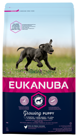 EUKANUBA DOG PUPPY LARGE 18кг