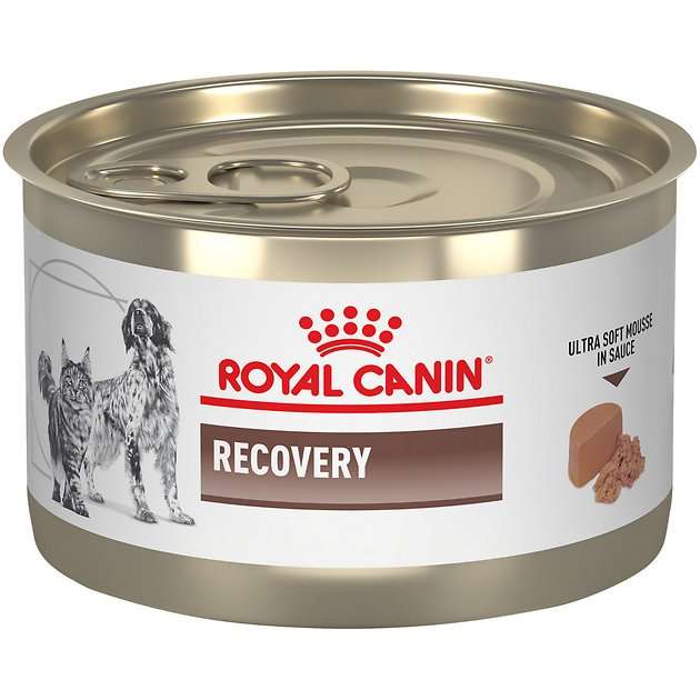 ROYAL CANIN DOG RECOVERY КОНСЕРВА 195гр - Мокра храна в консерва за периода на възстановяване при кучета и котки