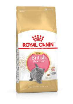 ROYAL CANIN BRITISH SHORTHAIR KITTEN