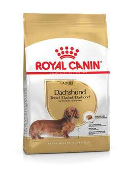 ROYAL CANIN DACHSHUND ADULT