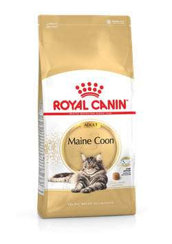ROYAL CANIN MAINE COON 4 кг