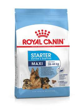 ROYAL CANIN MAXI STARTER - 15кг