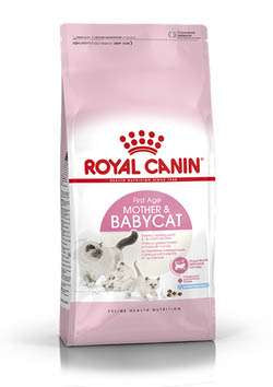 ROYAL CANIN MOTHER & BABYCAT
