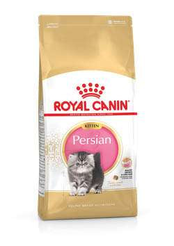 ROYAL CANIN PERSIAN KITTEN